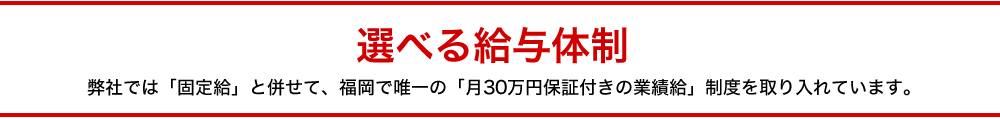 選べる給与体制